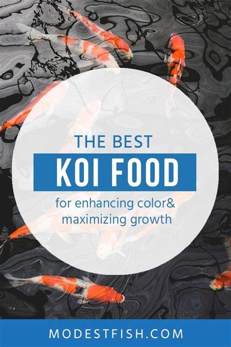 8 Best Quality Koi Food To Achieve Stunning Colors & Max Growth.